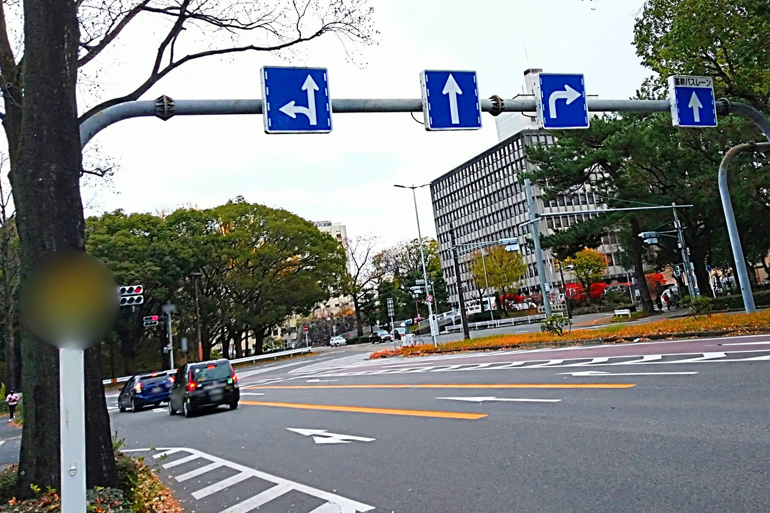 イエローカットなどのついついやってしまいがちな行為の意外な結末 〜 画像4