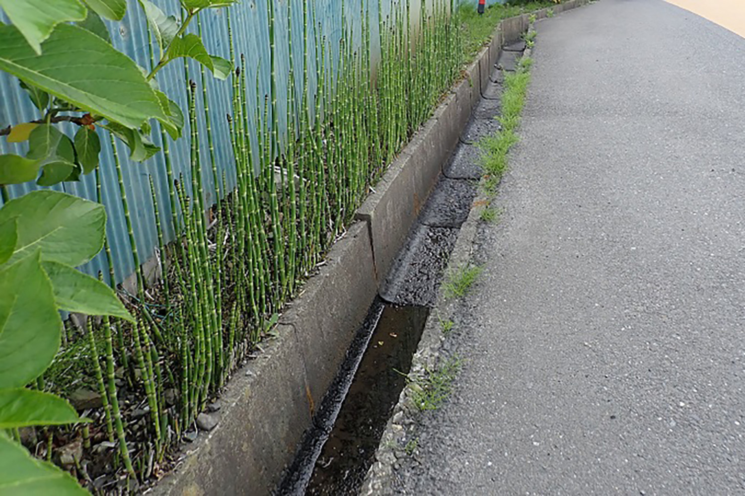 20251030_lost_key_002 〜 画像2