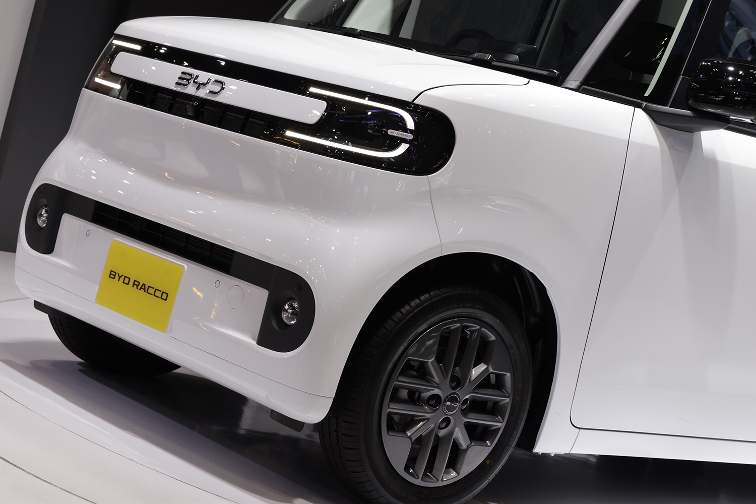 海洋シリーズに「ラッコ」が仲間入り