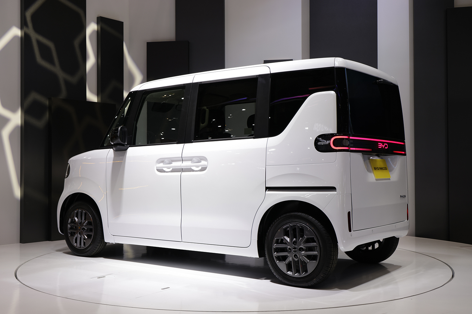 海洋シリーズに「ラッコ」が仲間入り 〜 画像5