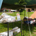 【画像】クルマの役割は人や荷物を運ぶだけじゃない！　「スターキャンプ2025 in 朝霧高原」は「クルマと人と思い出をつなぐ」ファミリーにも優しいイベントだった 〜 画像39