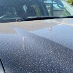 【画像】「洗車はピーカンの日に限る」なんて本気でいってる？　天候を味方にラクできる「雨の日」洗車のススメ 〜 画像6