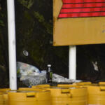 【画像】行き止まりに突進する事故が頻発する謎の丁字路！　心霊現象まで噂される「やまびこ大橋交差点」で何が起こっているのか？ 〜 画像14