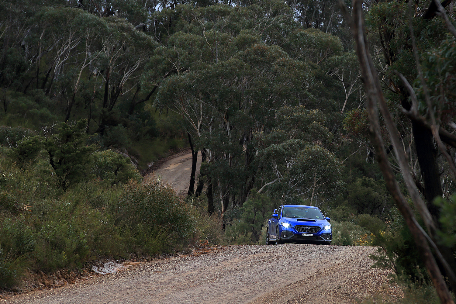 オーストラリアでWRXのMT仕様に乗ったら日本に入れてほしい欲が止まらない 〜 画像51