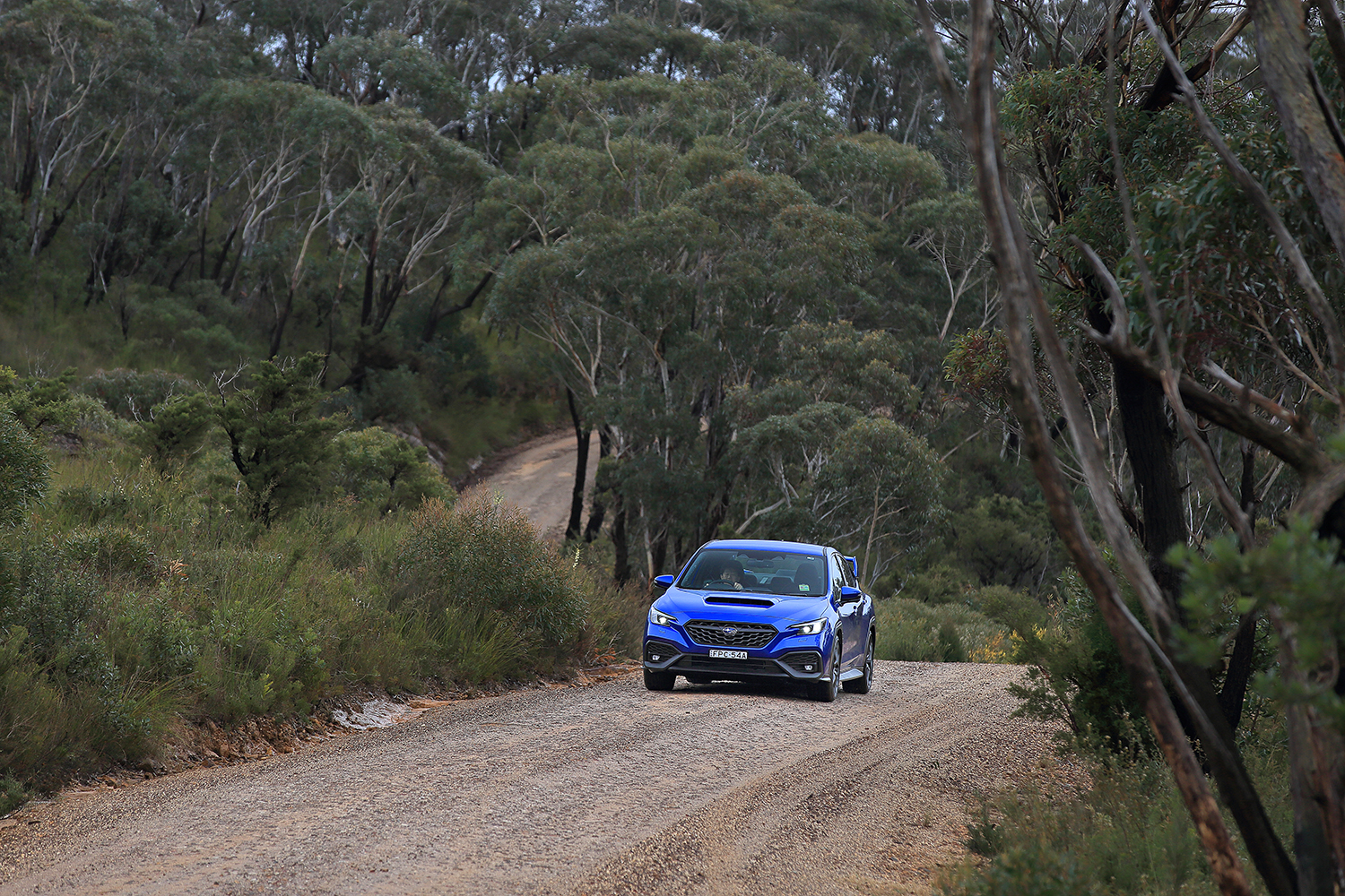 オーストラリアでWRXのMT仕様に乗ったら日本に入れてほしい欲が止まらない 〜 画像48