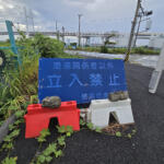【画像】横浜の「大黒ふ頭」に大量の放置トラックとの噂！　真相を確かめるべく現地に赴くと「ナンバーなし」「トラックの荷台にトラック」と謎の光景が広がっていた 〜 画像3