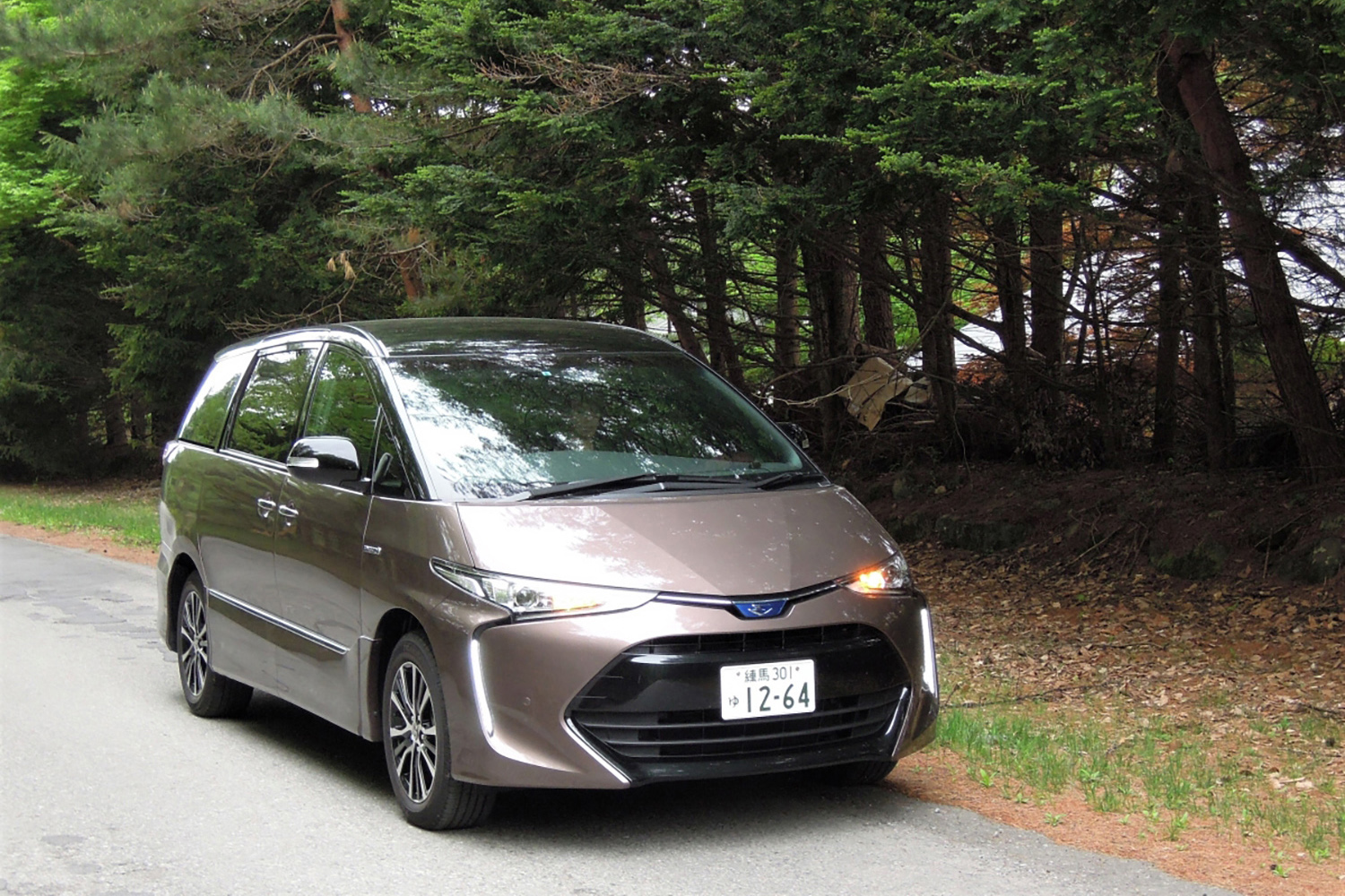 木の下への駐車イメージ 〜 画像6