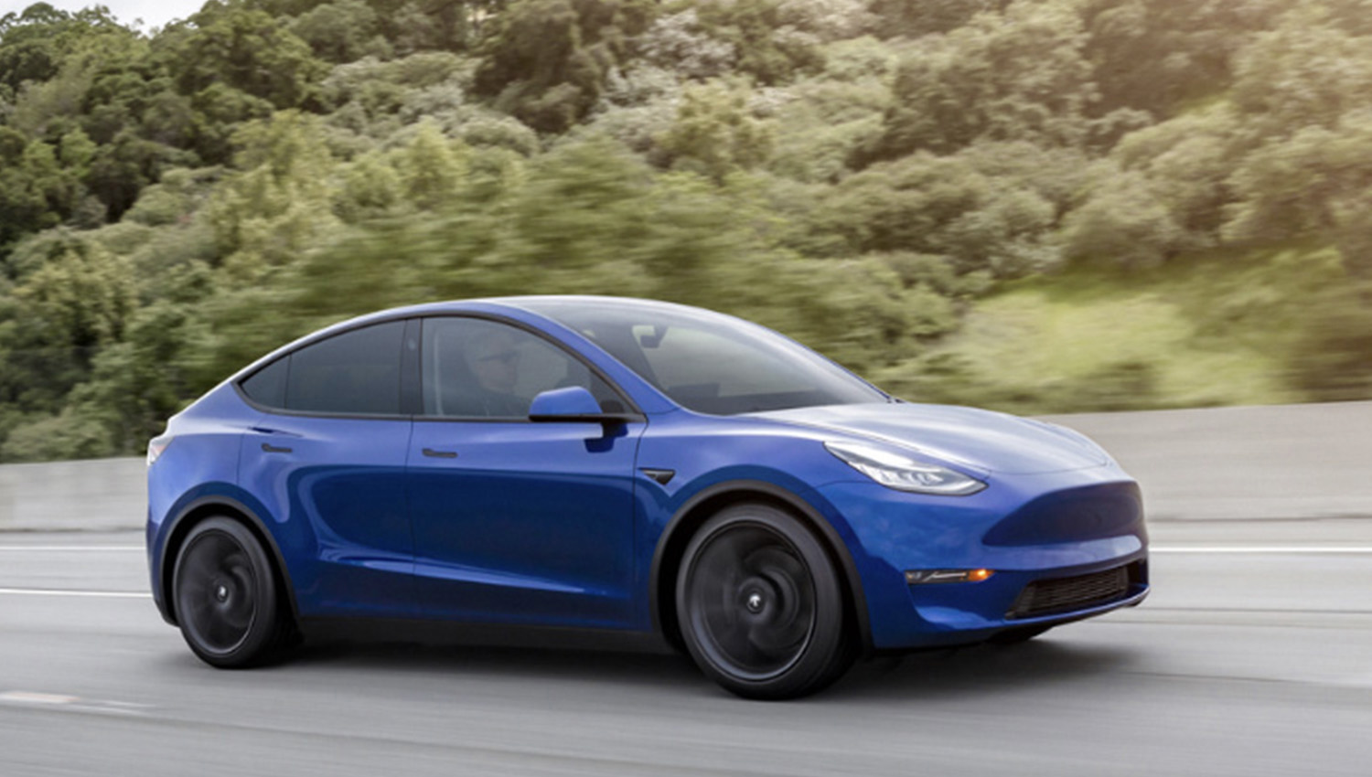 テスラ・モデルY 〜 画像8