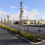 【画像】たった２kmの道路が20年も開通できない！　そこにあるのは「お寺とお墓」の難しい移転問題だった 〜 画像1