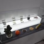 【画像】子どもはフォーミュラカーに乗って大人はその横でお勉強!?　アブラヤシにオレンジの皮も使ってるヨコハマタイヤがエコだった【ジャパンモビリティショー2025】 〜 画像2