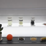 【画像】子どもはフォーミュラカーに乗って大人はその横でお勉強!?　アブラヤシにオレンジの皮も使ってるヨコハマタイヤがエコだった【ジャパンモビリティショー2025】 〜 画像25