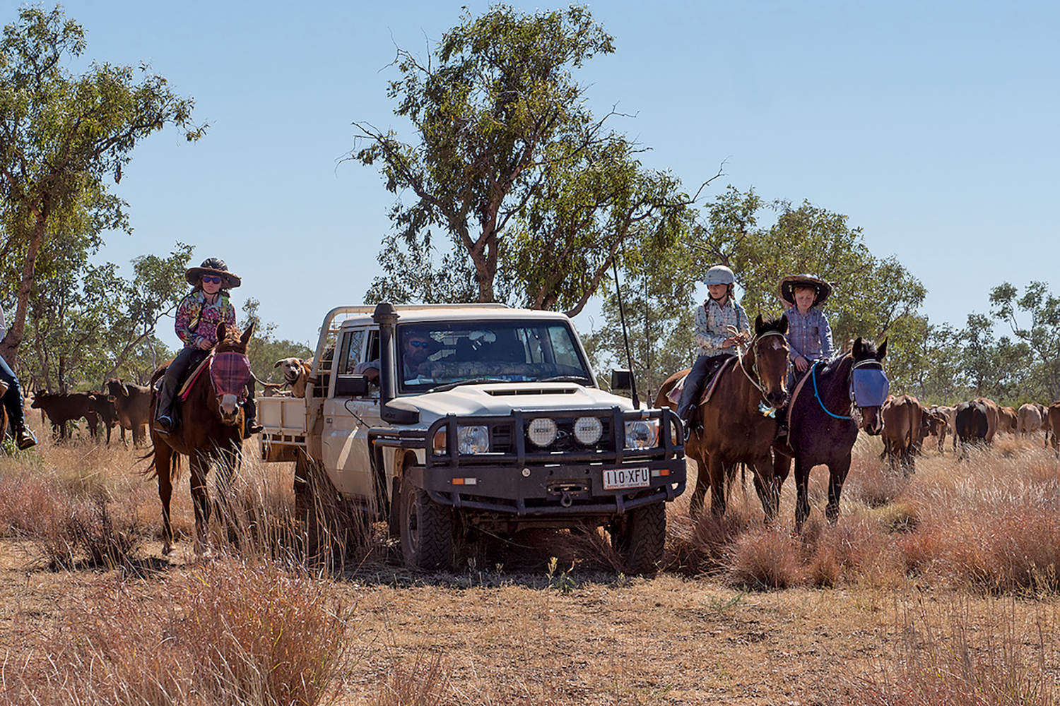 ランドクルーザー70を新車で買うためにいったい何をすればいいのか 〜 画像4
