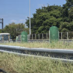 【画像】高速の中央分離帯に生えてる植物ってエラくね？　24時間排ガスに耐えている植物には重要な役割があった 〜 画像3