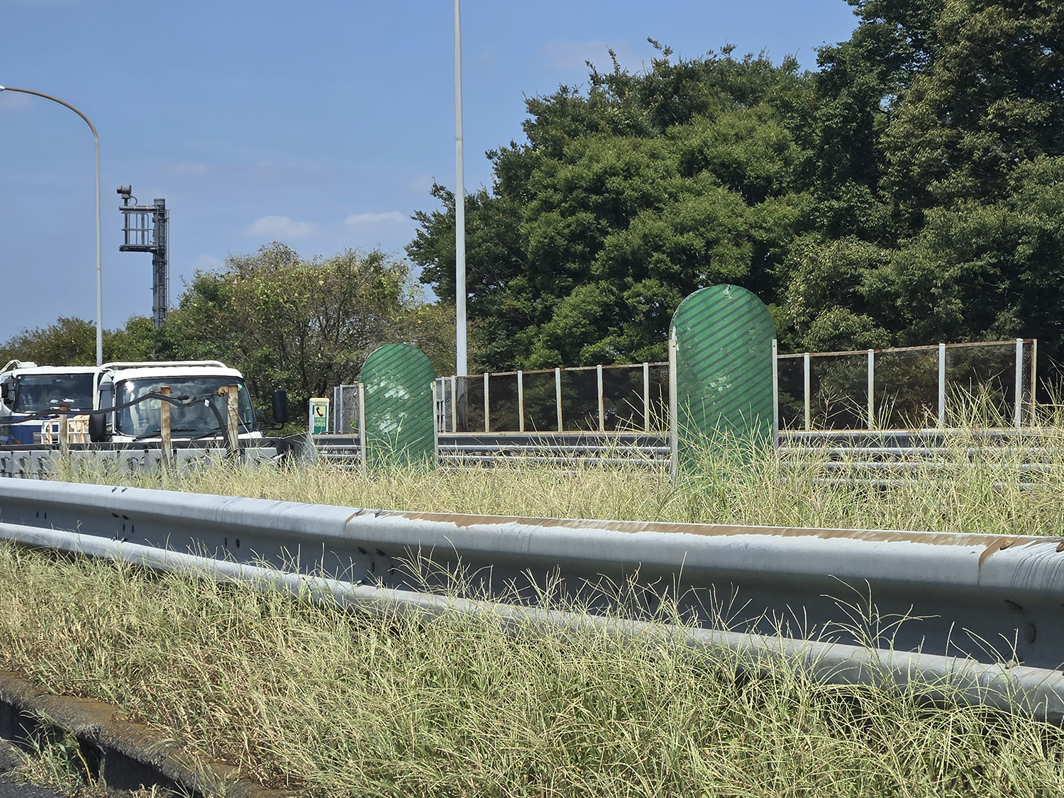 高速道路の中央分離帯に植えられた植物は人知れず重要な役割をまっとうしてた 〜 画像3
