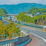 【画像】高速の中央分離帯に生えてる植物ってエラくね？　24時間排ガスに耐えている植物には重要な役割があった 〜 画像6