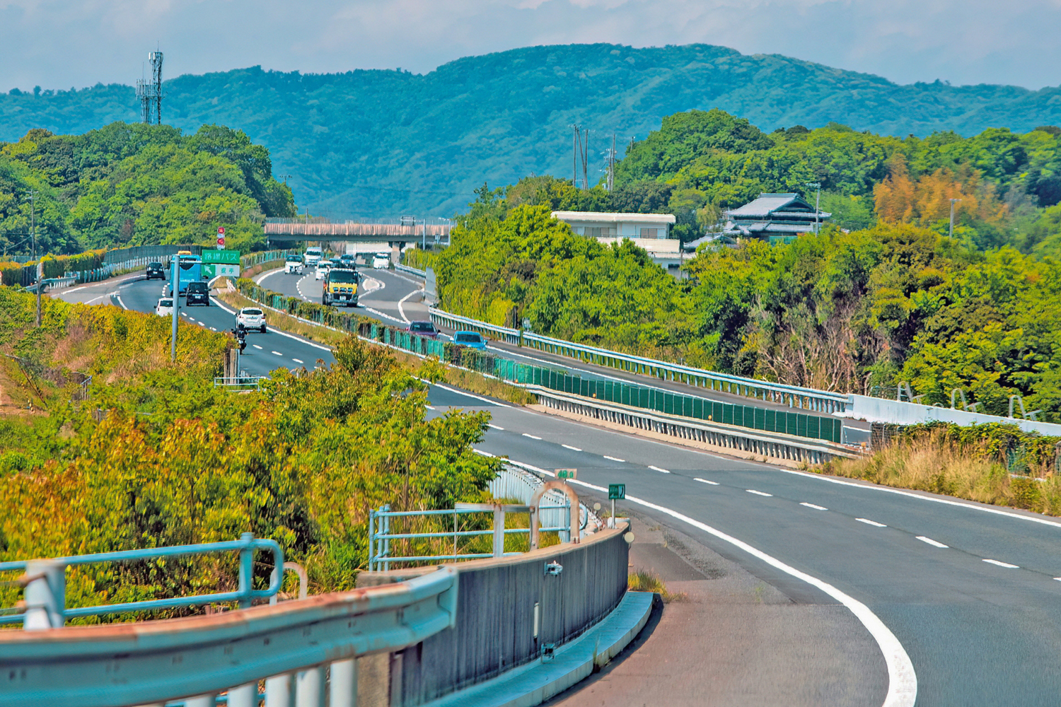高速道路の中央分離帯に植えられた植物