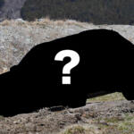 やっぱり悪路「感」が重要！　モデルチェンジで爆売れしたクルマの共通点とは