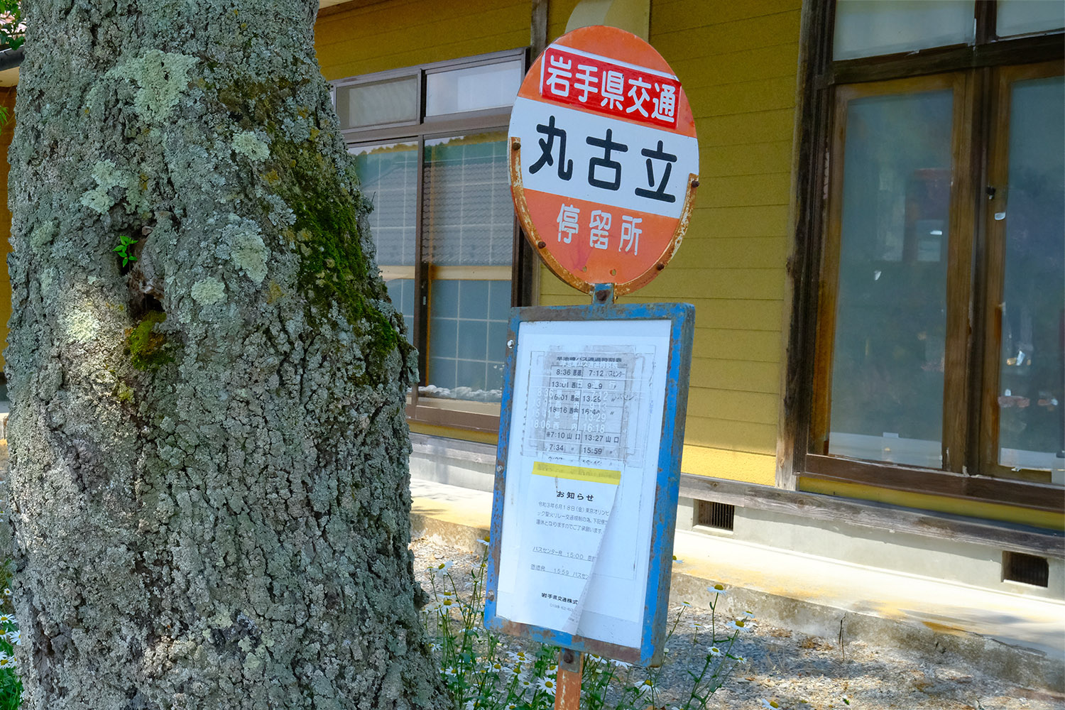 最新のスマートバス停は地域の情報発信拠点になっていた 〜 画像1