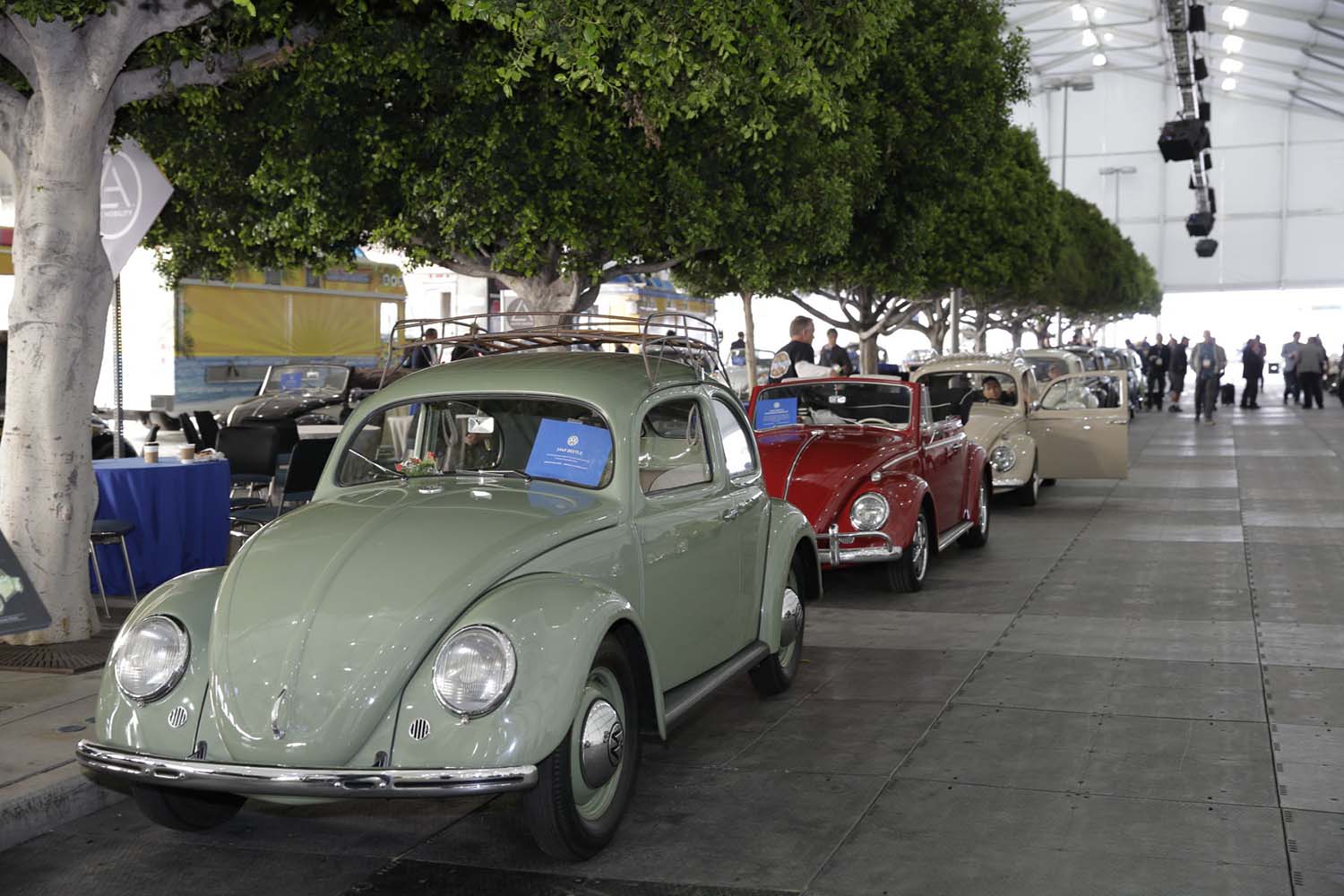 並べられたフォルクスワーゲン・タイプ1