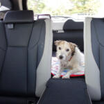 【画像】カタログだけじゃわからない！　間違って買うとずっと後悔する「クルマの荷室」の選び方 〜 画像13