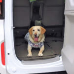 【画像】カタログだけじゃわからない！　間違って買うとずっと後悔する「クルマの荷室」の選び方 〜 画像21