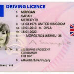 【画像】日本もさらに真剣に考えるべき！　高齢者の運転問題は世界各国でさまざまな対策が進んでいた 〜 画像7