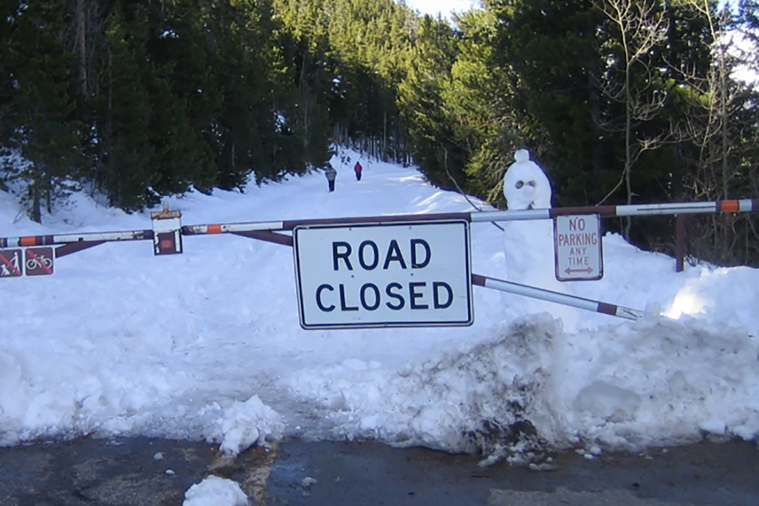 道路が通行止めになる基準とは 〜 画像1