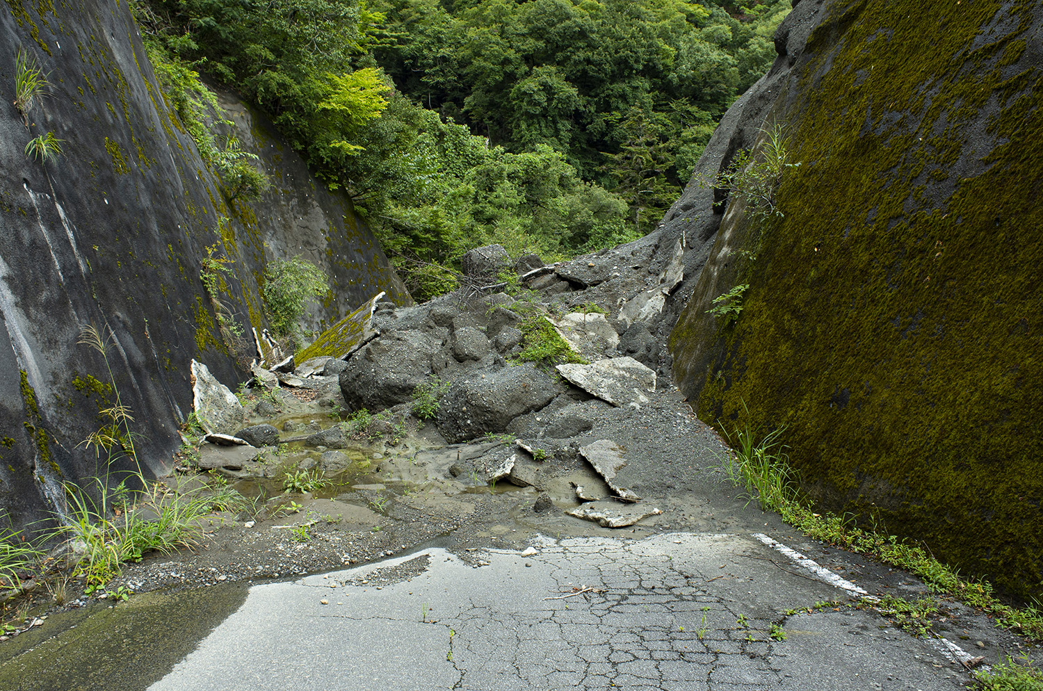 道路が通行止めになる基準とは 〜 画像3