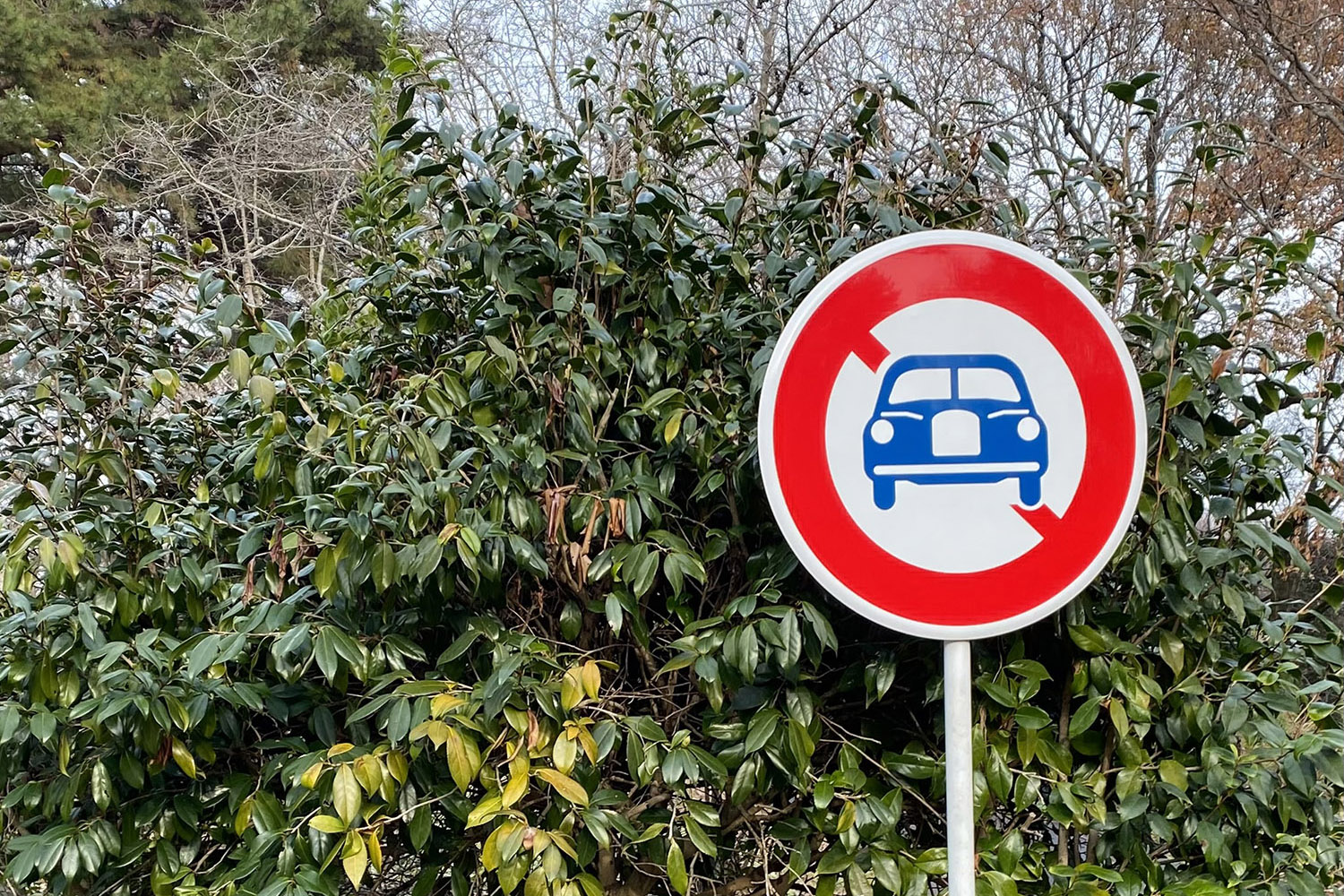 道路が通行止めになる基準とは 〜 画像12