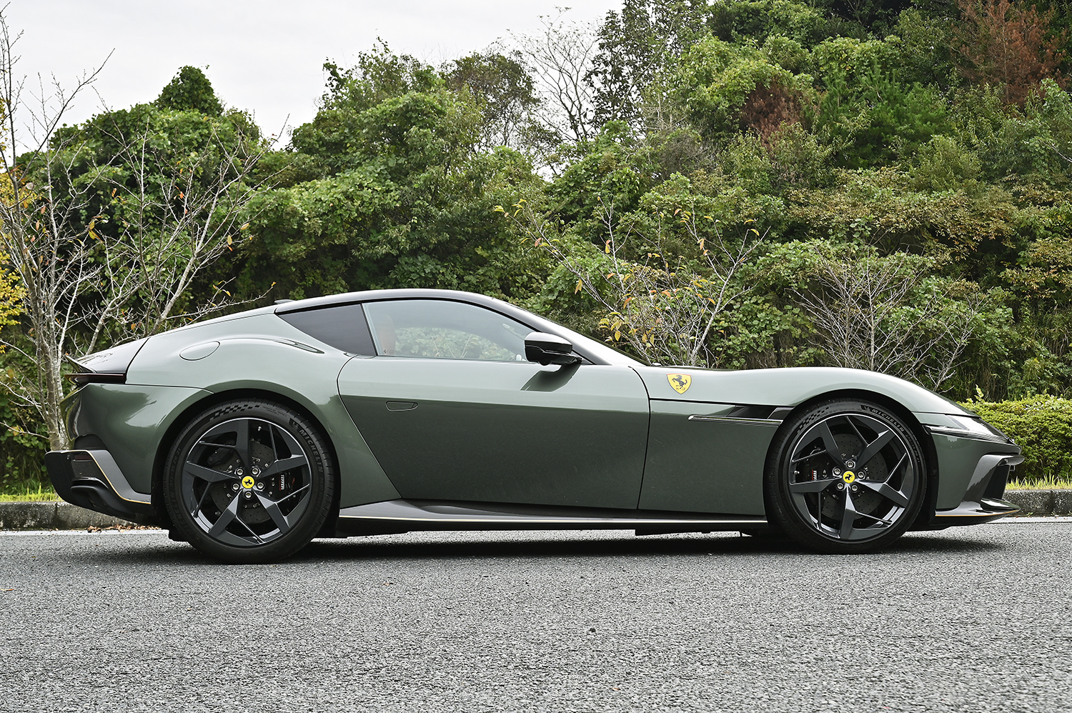 フェラーリ・ドーディチ・チリンドリのサイドビュー