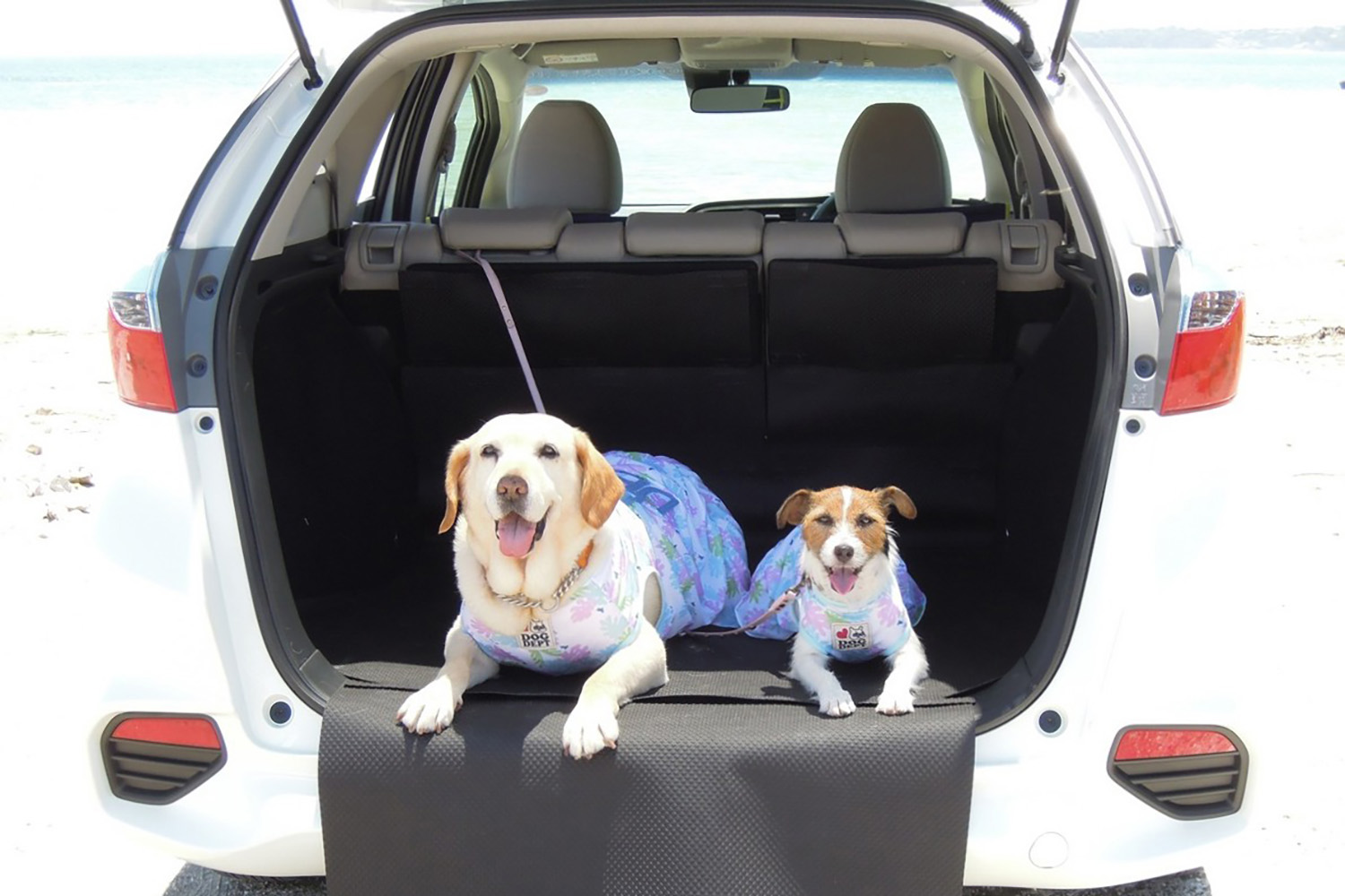 ワゴン並みにラゲッジが使えるクルマはまだまだあった 〜 画像19