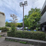 【画像】クチコミに「働く漢のオアシス」って行くしかない！　横浜の埠頭に存在する「波止場食堂」が驚異の価格と量と美味さだった 〜 画像30