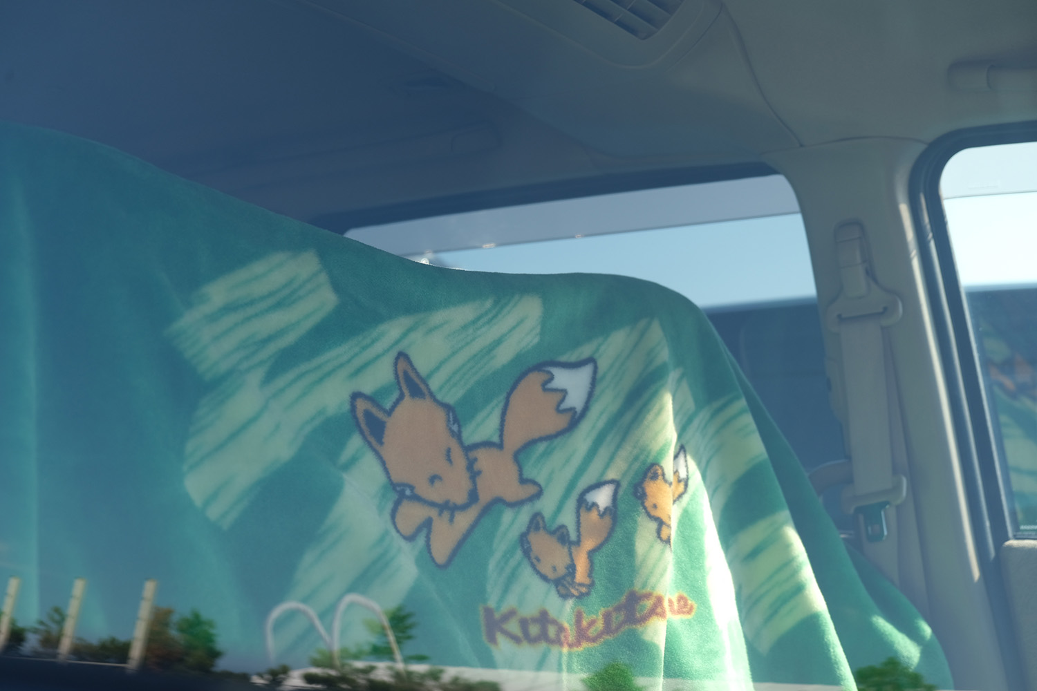 リクさんの愛車「セレナ・キタキツネ」 〜 画像89