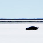 【画像】ジャガーXJ220をぶち抜いたのが「XF」　だと？　常軌を逸した360km/hオーバーの「ロケットスポーツXFR V8」という怪物セダン 〜 画像2