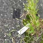 【画像】なぜか道端に落ちている軍手……の数がいま激減していた！　「軍手はどこからくるのか？」「なぜ減ったのか？」真相を追った!! 〜 画像2