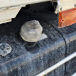 【画像】なぜか道端に落ちている軍手……の数がいま激減していた！　「軍手はどこからくるのか？」「なぜ減ったのか？」真相を追った!! 〜 画像4