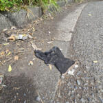 【画像】なぜか道端に落ちている軍手……の数がいま激減していた！　「軍手はどこからくるのか？」「なぜ減ったのか？」真相を追った!! 〜 画像10