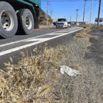 【画像】なぜか道端に落ちている軍手……の数がいま激減していた！　「軍手はどこからくるのか？」「なぜ減ったのか？」真相を追った!! 〜 画像11