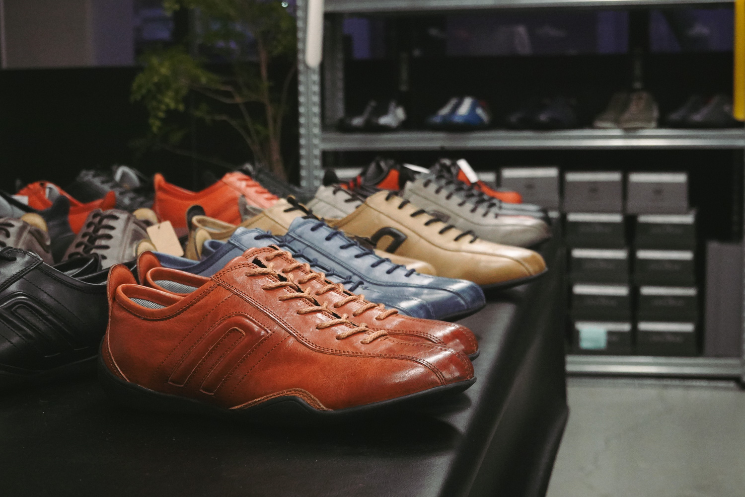 初めてのドライビングシューズを「ネグローニ」の工房イベントで選んでみた 〜 画像1