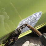 【画像】ボロッボロの廃車でも約90％がリサイクル可能！　寿命を迎えたクルマが歩む第二の人生を追った 〜 画像9