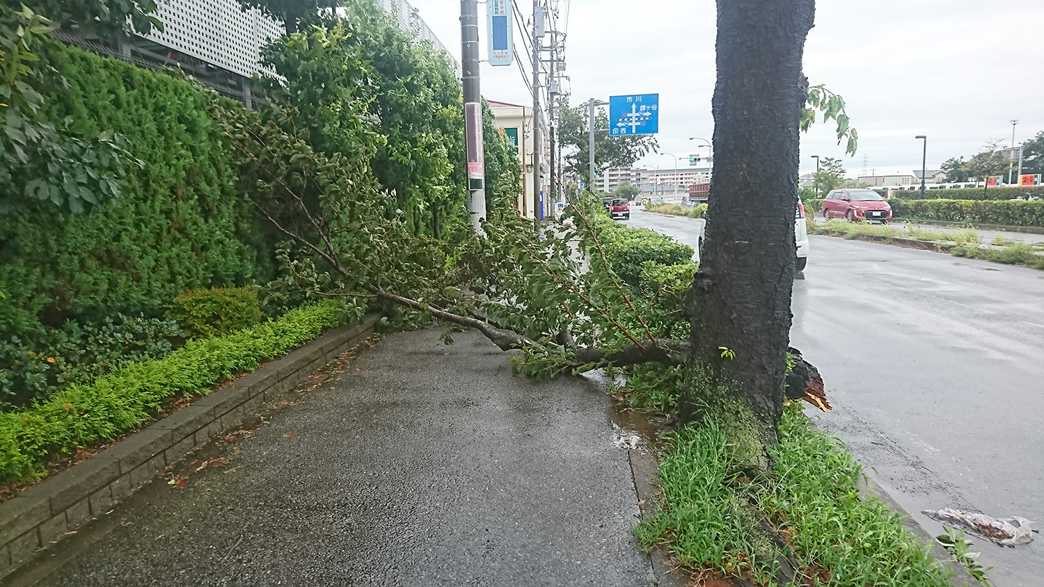 公共物で愛車が傷ついたら行政に補償を頼める？ 〜 画像7