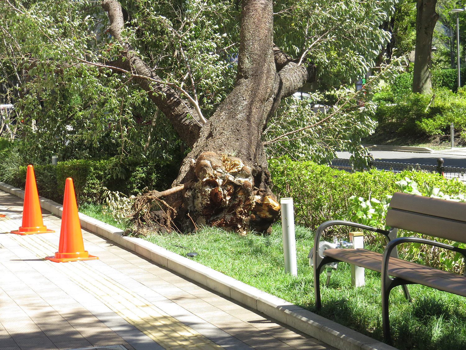 公共物で愛車が傷ついたら行政に補償を頼める？ 〜 画像8