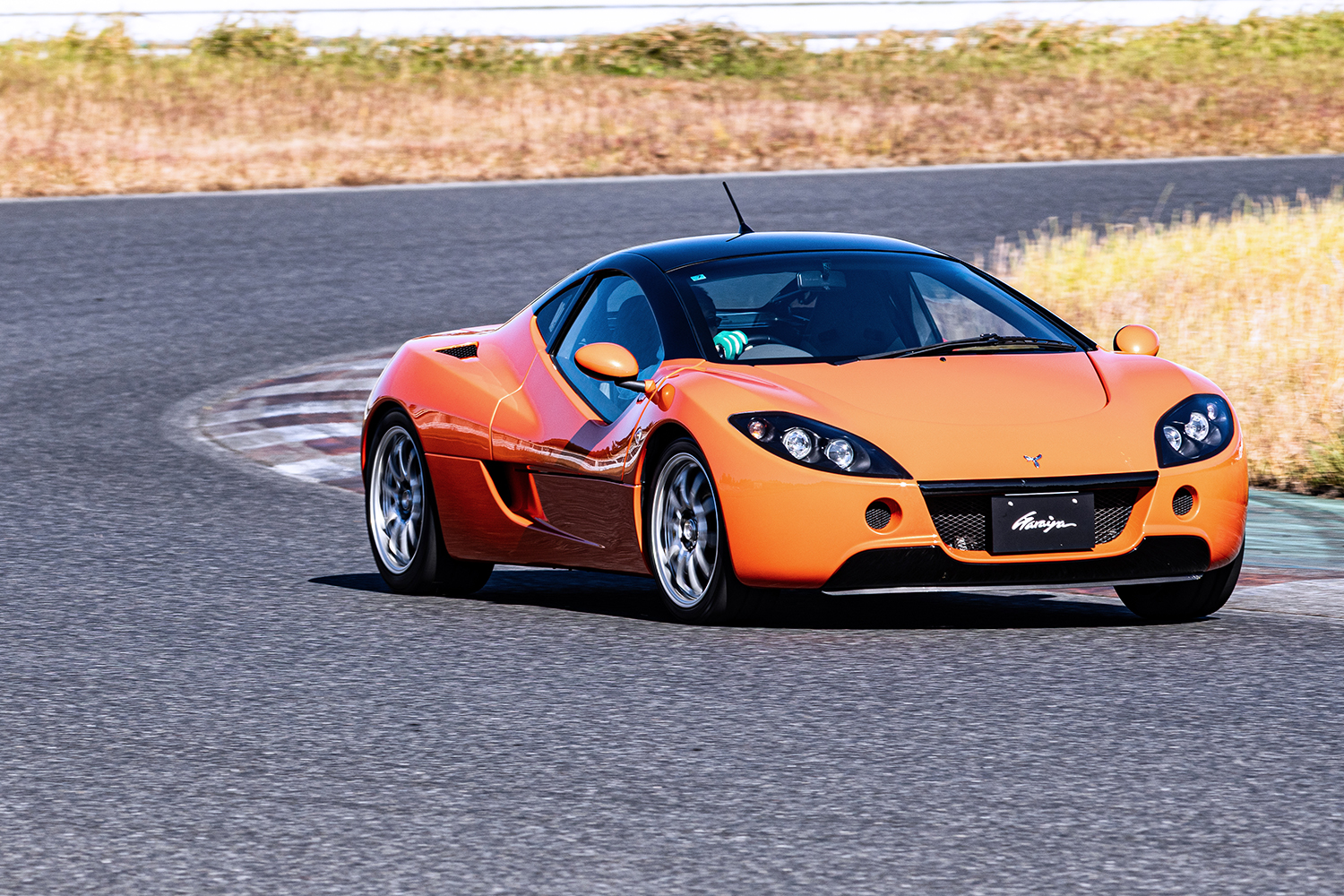 ASLガライヤがサーキットを駆け抜けた 〜 画像17