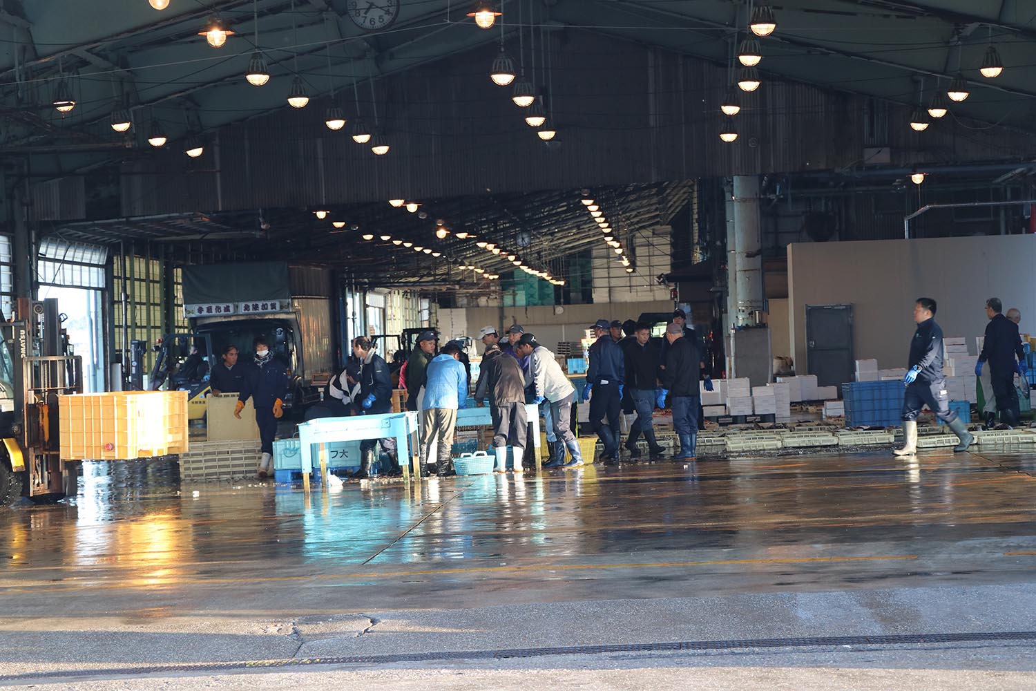 中央卸売市場で働く人々