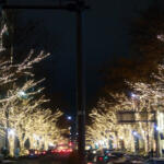 【画像】冬にオープン!?　意外にアリなんです！　イルミ観覧に星空鑑賞も最高なオシャレ中古オープンカーたち 〜 画像3