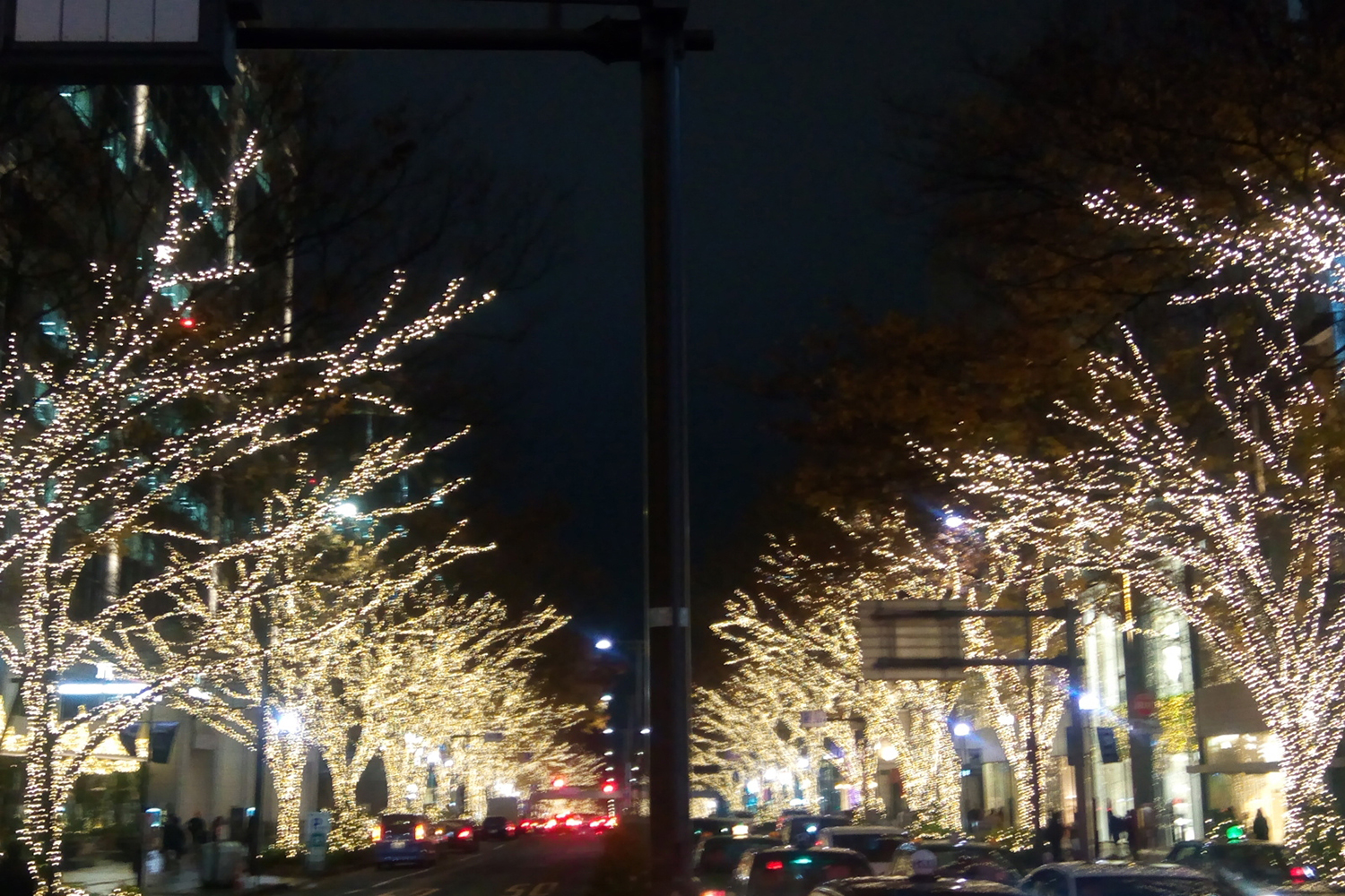 表参道のイルミネーション