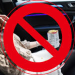 【画像】車試乗完全ガイド｜初めてでも安心！　予約から当日の流れとチェックポイントを徹底解説 〜 画像16