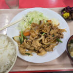 【画像】食堂はガッツリ系！　お風呂に宿泊にゲーセンまで!!　一般人も入れる「トラックステーション」に潜入したら楽しすぎた 〜 画像14