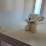 【画像】食堂はガッツリ系！　お風呂に宿泊にゲーセンまで!!　一般人も入れる「トラックステーション」に潜入したら楽しすぎた 〜 画像23