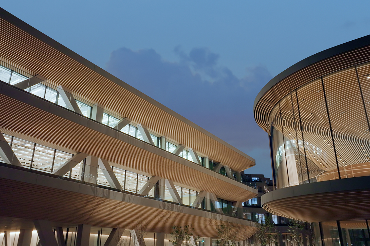 ウーブン・シティの意外な正体とは 〜 画像7